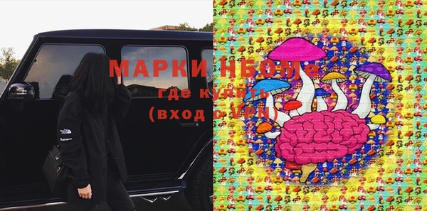 винт Аркадак