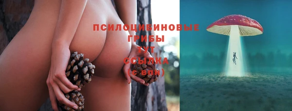 гидра Армянск