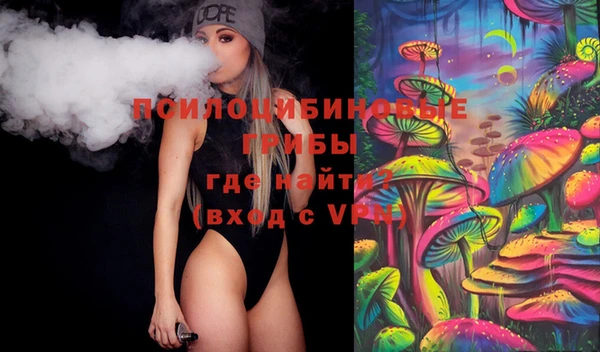 винт Аркадак