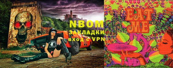дурь Арсеньев