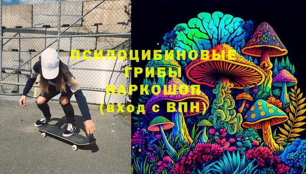 винт Аркадак