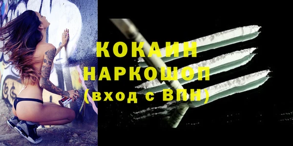 дурь Арсеньев