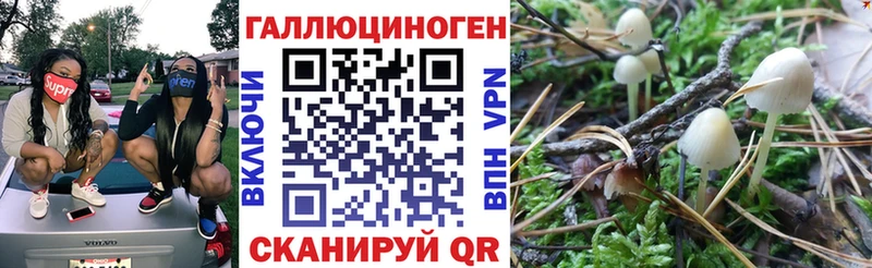 Псилоцибиновые грибы GOLDEN TEACHER  где найти   Мариинск 